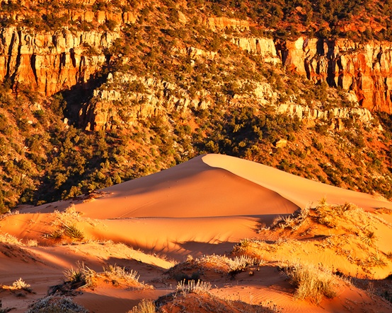 Photo:  Coral Pink Sand Dunes in Zion National Park 
